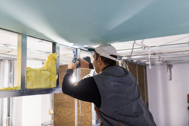 Best Attic Insulation Installation  in Wildwood, MO