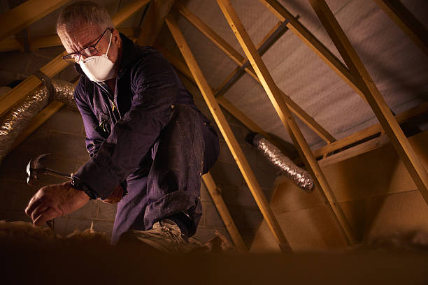 Best Insulation Replacement Services  in Wildwood, MO